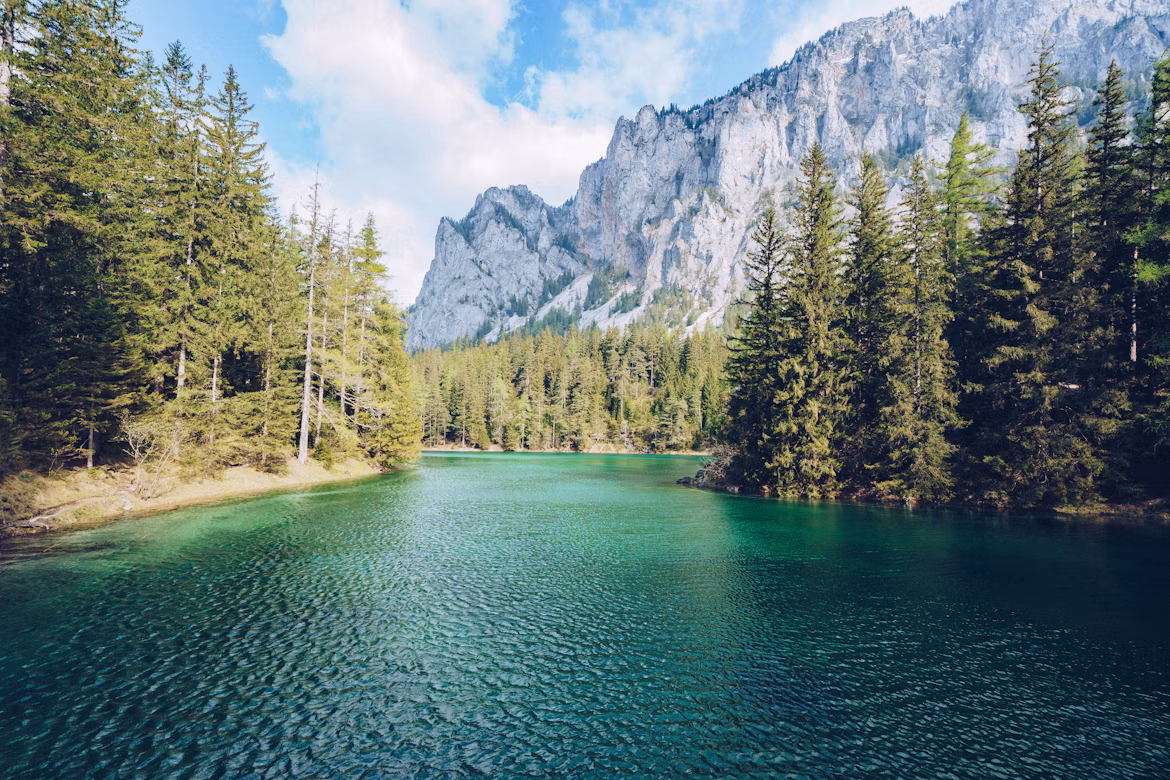 Lago entre bosques y montañas
